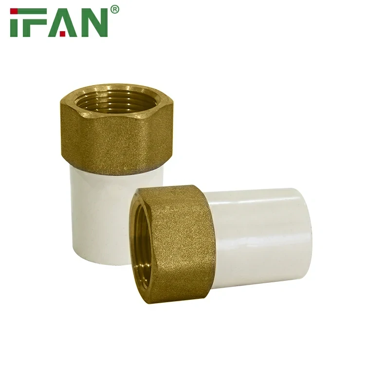 Sitzende weibliche Buchse