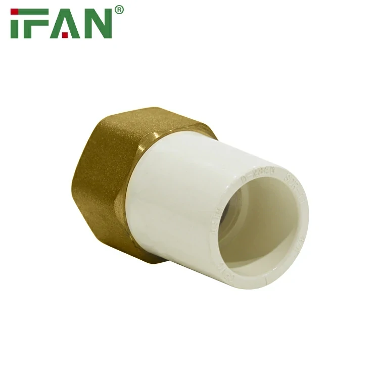 Sitzende weibliche Buchse