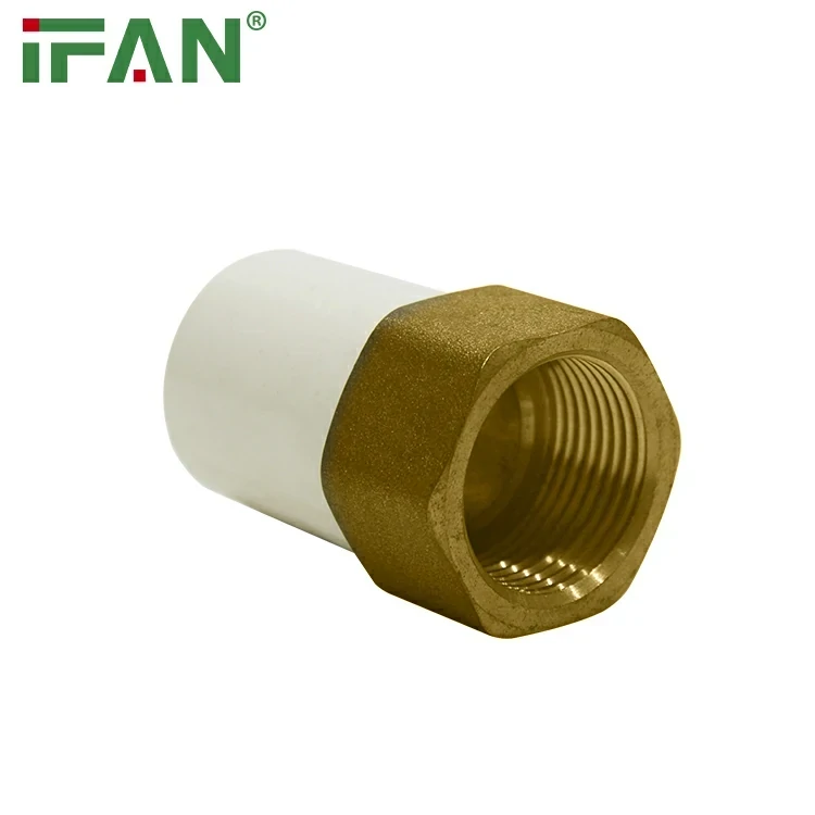 Sitzende weibliche Buchse