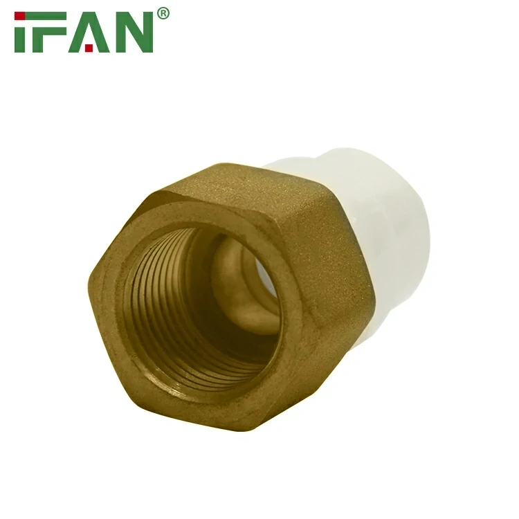 Sitzende weibliche Buchse