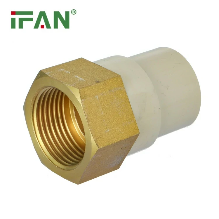 Sitzende weibliche Buchse