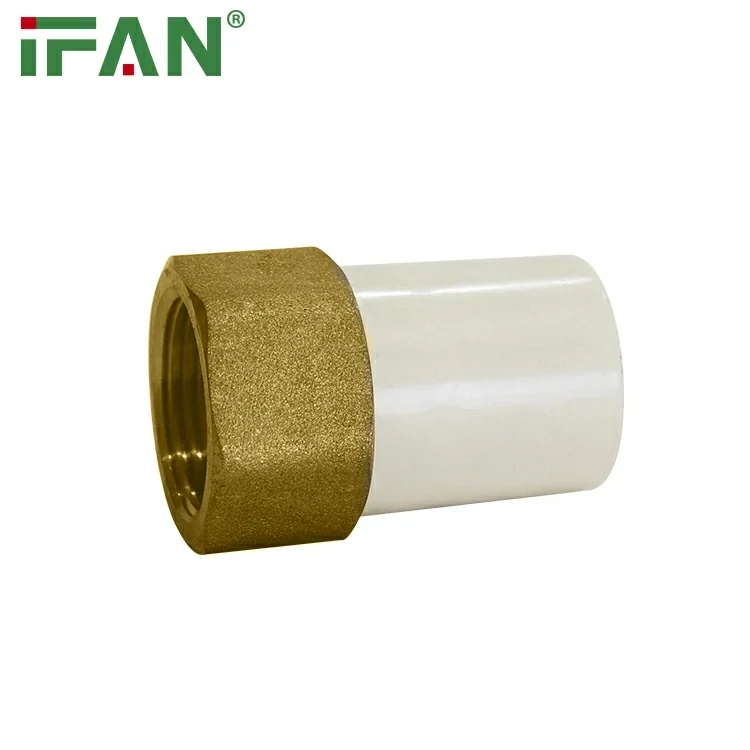 Sitzende weibliche Buchse