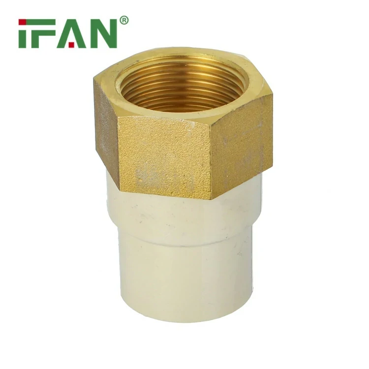 Sitzende weibliche Buchse